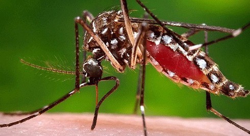 Shop TIN 5/2: Cấp trên của TGĐ đường sắt Hà Nội sao còn nguyên chức? - ảnh 8