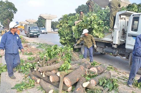 Shop TIN 25/2: Đấu đá ra tham nhũng? Thà nghèo nhưng yên bình? - ảnh 11