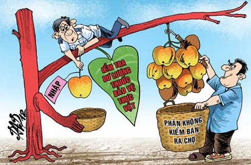 Shop TIN 25/2: Đấu đá ra tham nhũng? Thà nghèo nhưng yên bình? - ảnh 3