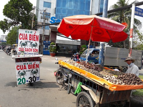 Cua biển Cà Mau bị giả mạo? - ảnh 1