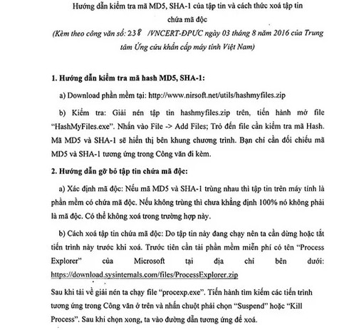 VNCERT phát hiện 4 mã độc có thể phá hủy hệ thống sau vụ hack Vietnam Airlines - ảnh 1