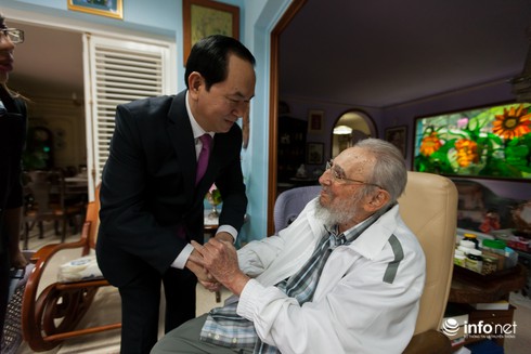 Chủ tịch nước Trần Đại Quang hội kiến lãnh tụ Cuba Fidel Castro - ảnh 1