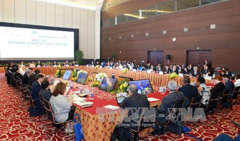 APEC nhất trí ủng hộ các hướng ưu tiên do Việt Nam đề xuất - ảnh 1