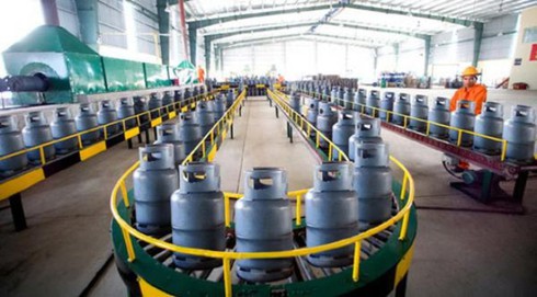 Nhiều doanh nghiệp 'chết tức tưởi' sau Nghị định 19 - ảnh 1