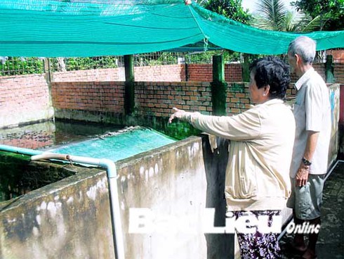 Báo động về nạn trộm cắp cá sấu - ảnh 1