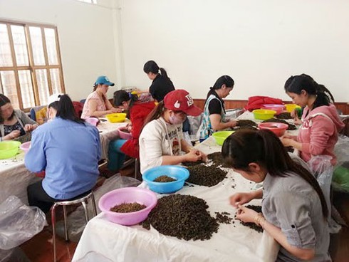 Kế hoạch giết nữ Phó chủ tịch Hội doanh nhân trẻ được tính toán kỹ? - ảnh 1