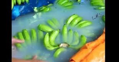 Shop TIN ngày 7/11: Không lộ còn lâu mới nhận... Bộ trưởng lạnh xương sống... - ảnh 1