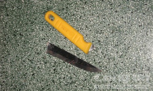 'Con rể' đâm 'cha vợ' đến gãy cán dao - ảnh 1