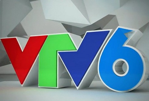 Dừng phát sóng analog 3 kênh VTV6, H2, VTC9 tại Hà Nội từ 1/1/2016 - ảnh 1