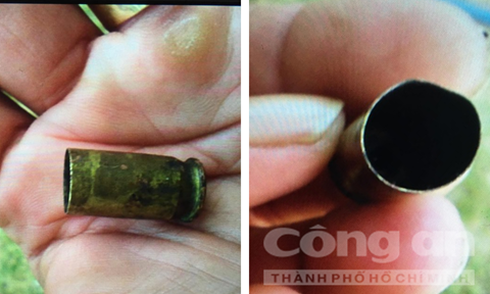 Súng lại nổ vì 19.000 trụ thanh long - ảnh 1