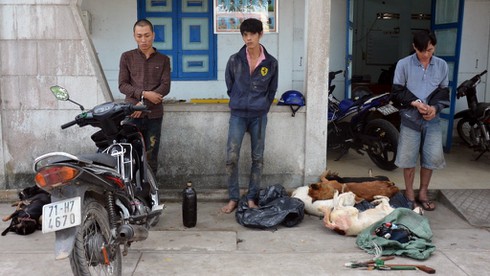 Bắt nhóm trộm chó dùng súng điện bắn trả công an - ảnh 1