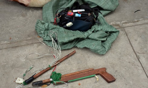 Bắn chết 5 con chó, đi trộm tiếp thì bị bắt giữ - ảnh 1