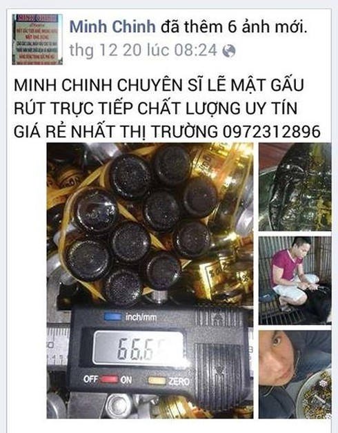 Rao bán hổ, tay gấu và động vật hoang dã trên facebook - ảnh 4