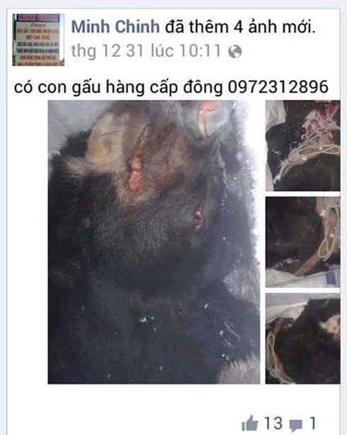 Rao bán hổ, tay gấu và động vật hoang dã trên facebook - ảnh 5