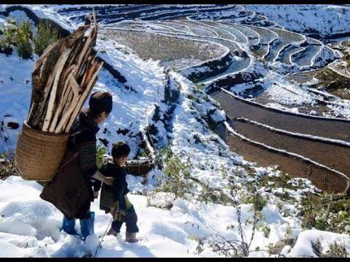 Shop TIN 27/1: Trời không mưa sao lại mặc áo mưa? - ảnh 1