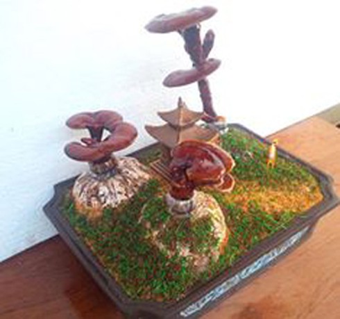 Săn hàng “độc” chưng tết - ảnh 1