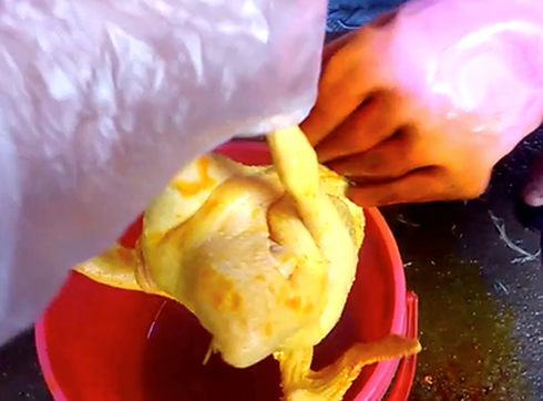 Dùng hóa chất để nhuộm gà, bị phạt 24 triệu đồng - ảnh 1