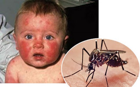 Shop TIN 31/1: Truyền thông và hình ảnh quan chức - ảnh 15