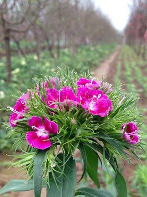 Shop TIN 15/2: Quyền lực của tình yêu - ảnh 14