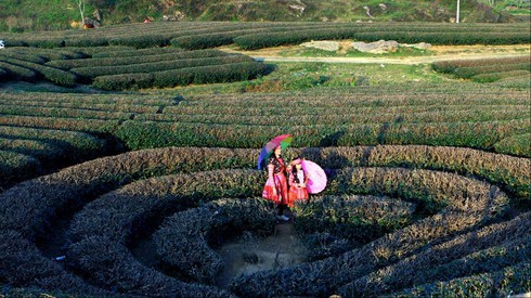 Shop TIN 19/2: Anh Tư Bí thư Đinh La Thăng - ảnh 11