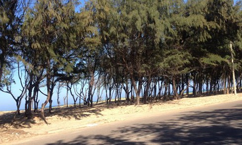 Thanh niên sát hại người yêu vì câu nói 'Con này chẳng sợ ai…' - ảnh 2