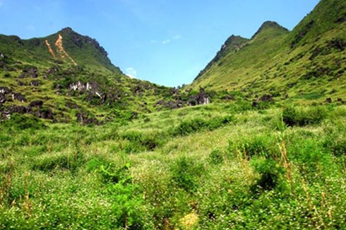 Truy bắt đại ca giang hồ có hình xăm đại bàng - ảnh 1