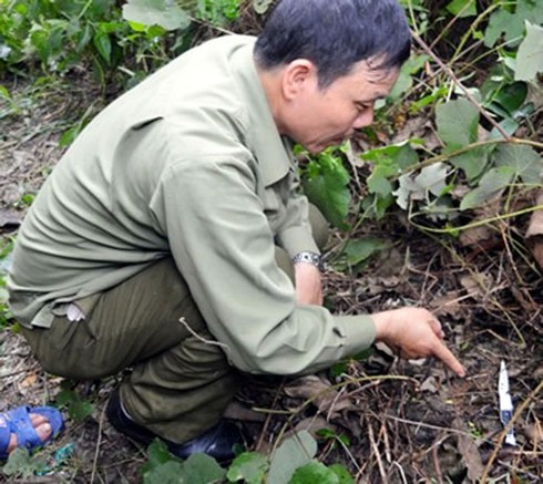 Bi kịch con sát hại cha - ảnh 2