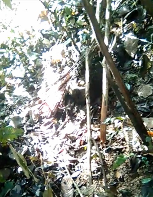 Kẻ cưỡng bức, sát hại nữ sinh bị bắt - ảnh 1