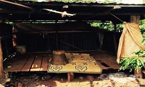 Chị gái bị nhóm bạn trai của em gái chở vào chòi vắng cưỡng bức - ảnh 1