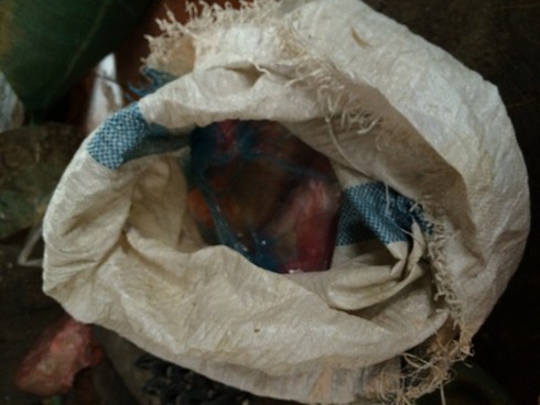 Lén lút bán gà cấm - ảnh 1