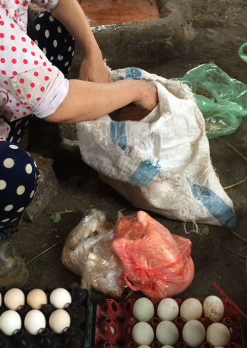 Lén lút bán gà cấm - ảnh 2