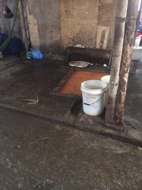 Lén lút bán gà cấm - ảnh 5