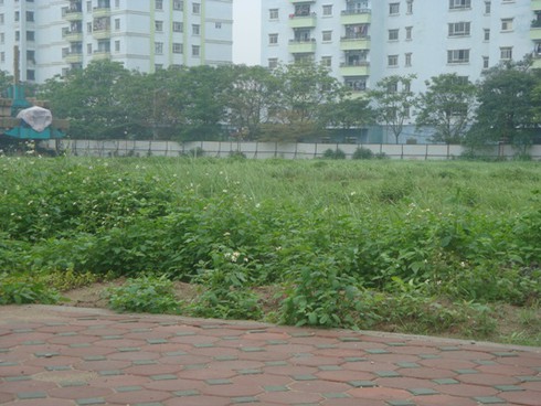 Không chậm trễ không phải nhà ở xã hội - ảnh 1