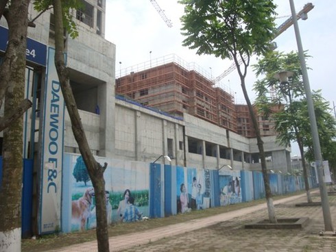 Điểm mặt những siêu dự án BĐS vốn ngoại “đắp chiếu”, cỏ mọc ngút ngàn - ảnh 2