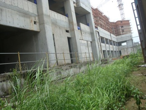 Điểm mặt những siêu dự án BĐS vốn ngoại “đắp chiếu”, cỏ mọc ngút ngàn - ảnh 3