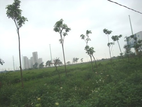 Điểm mặt những siêu dự án BĐS vốn ngoại “đắp chiếu”, cỏ mọc ngút ngàn - ảnh 6