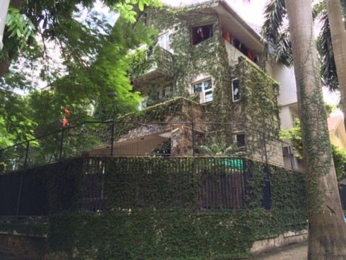 Hà Nội: Rộ mốt “ngụy trang” biệt thự tiền tỉ bằng dây leo - ảnh 1