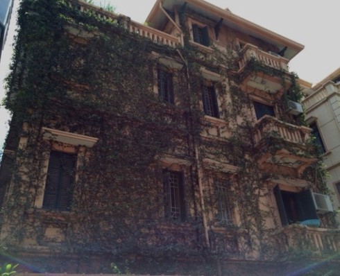 Hà Nội: Rộ mốt “ngụy trang” biệt thự tiền tỉ bằng dây leo - ảnh 11