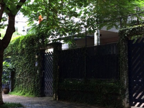 Hà Nội: Rộ mốt “ngụy trang” biệt thự tiền tỉ bằng dây leo - ảnh 3