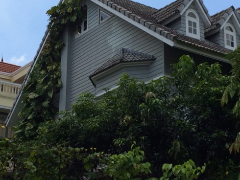 Hà Nội: Rộ mốt “ngụy trang” biệt thự tiền tỉ bằng dây leo - ảnh 5