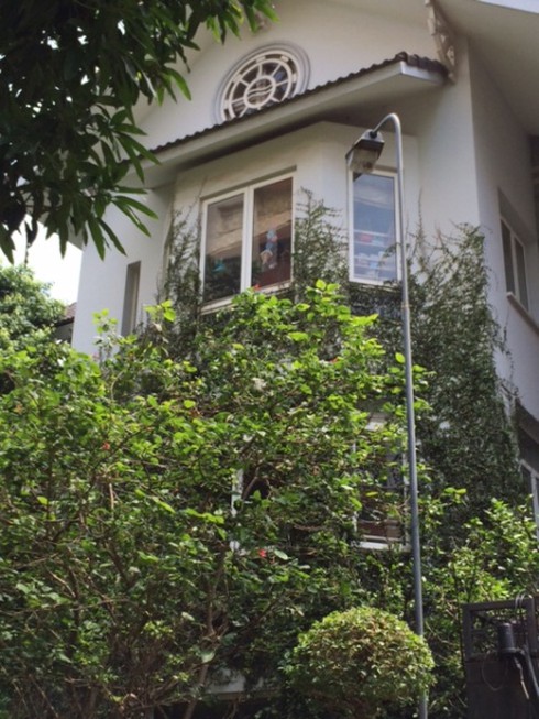 Hà Nội: Rộ mốt “ngụy trang” biệt thự tiền tỉ bằng dây leo - ảnh 7