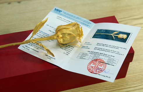Bông hồng