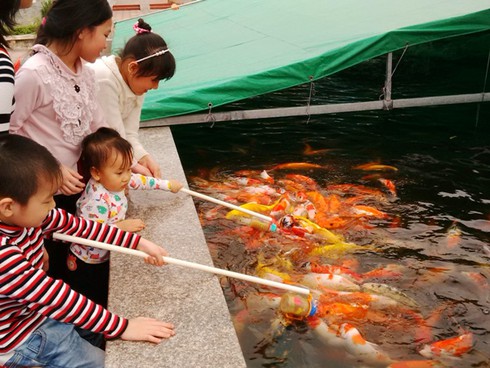 Cá “bú bình” ngộ nghĩnh xuất hiện ở Việt Nam - ảnh 1