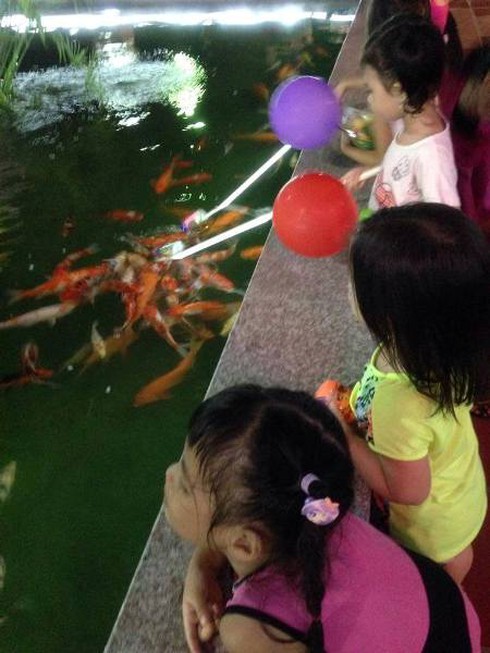 Cá “bú bình” ngộ nghĩnh xuất hiện ở Việt Nam - ảnh 3