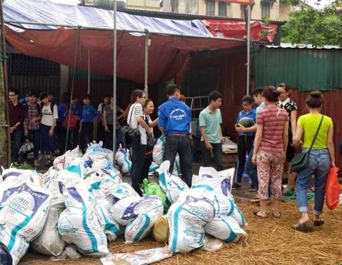 Người Hà Nội bán dưa hấu giúp nông dân Quảng Nam bằng cả tấm lòng - ảnh 5