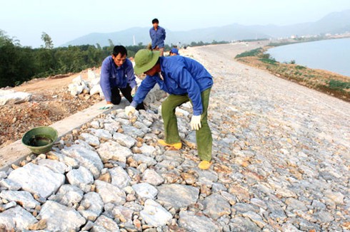 Bổ sung 100 tỷ đồng tu bổ đê điều - ảnh 1