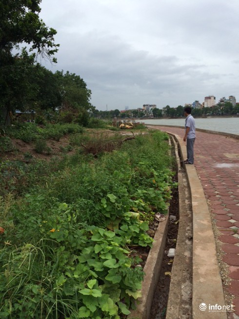 Hà Nội: Một con đường bị “quên lãng” chục năm… vì chưa có chủ đầu tư - ảnh 1
