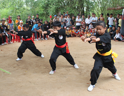 Đưa võ cổ truyền vào chương trình giáo dục phổ thông - ảnh 1