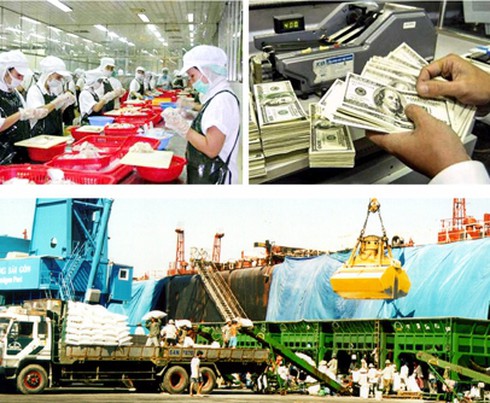 Giám sát đầu tư vốn nhà nước vào doanh nghiệp - ảnh 1