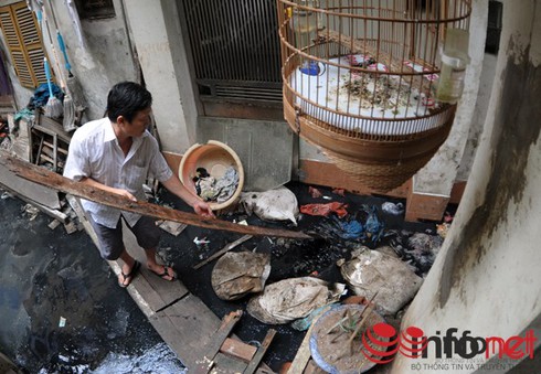 Vụ 146 Quán Thánh (Hà Nội): “Tắc là do… “lỗi hệ thống”” - ảnh 2